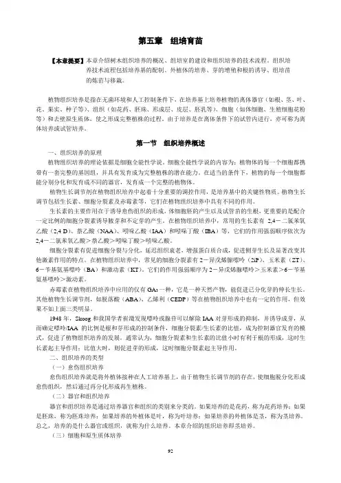 5组培育苗
