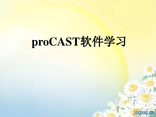 Procast操作教程