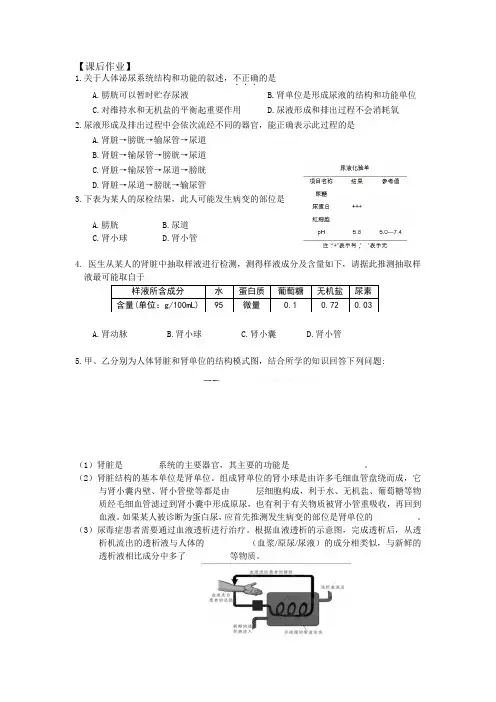 北京版生物七年级下册 第7章 尿液的形成和排出 第2课时 同步练习