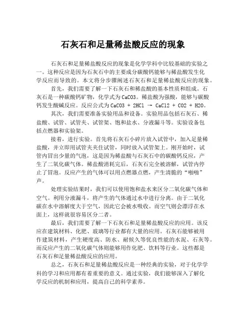 石灰石和足量稀盐酸反应的现象