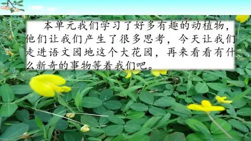 部编人教版五年级语文上册《语文园地一》优秀PPT课件