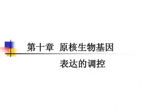 第十章原核生物基因表达的调控