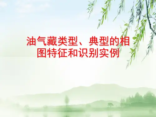 油气藏类型、典型的相图特征和识别实例