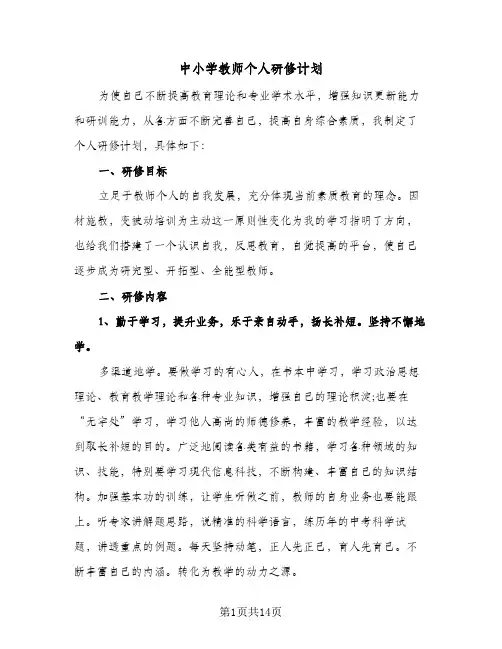 2024年中小学教师个人研修计划(五篇)
