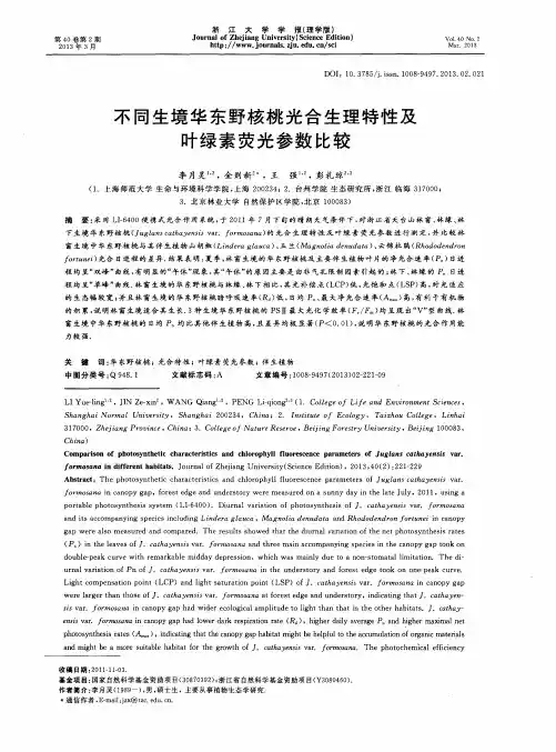 不同生境华东野核桃光合生理特性及叶绿素荧光参数比较