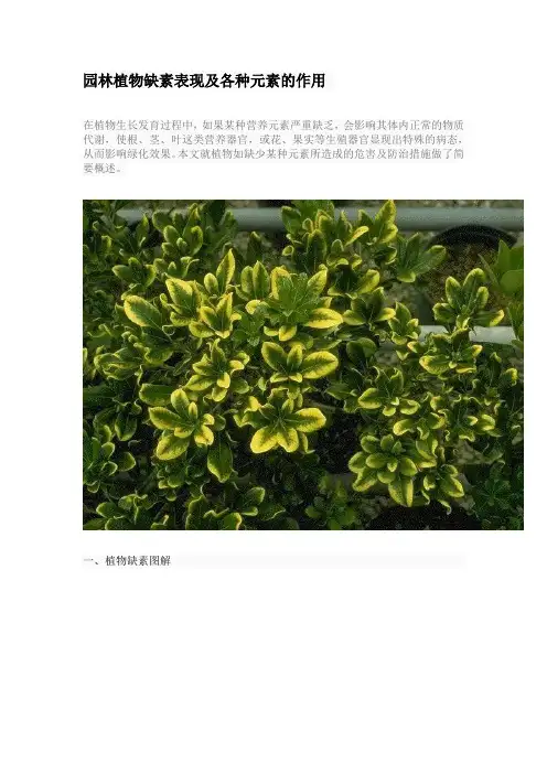 园林植物缺素表现及各种元素的作用