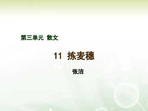 《拣麦穗》 课件 