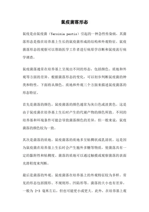 鼠疫菌落形态