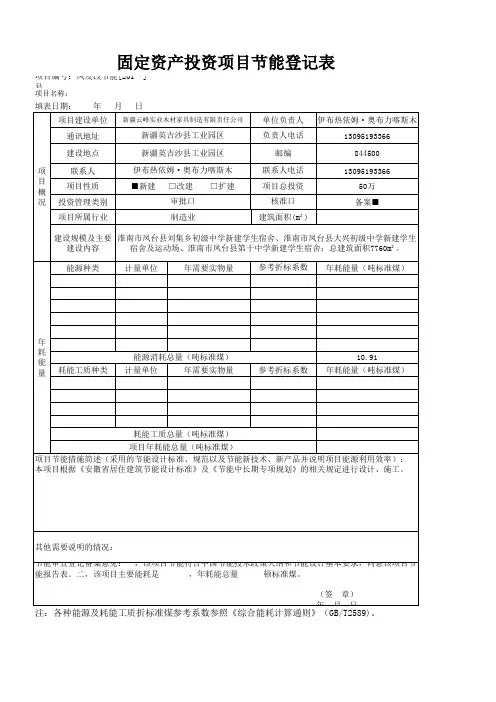 固定资产投资项目节能登记表(样表)