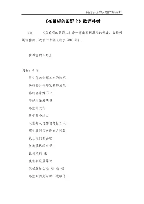 《在希望的田野上》歌词朴树