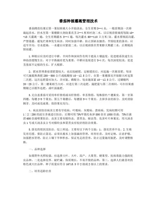 番茄种植灌溉管理技术