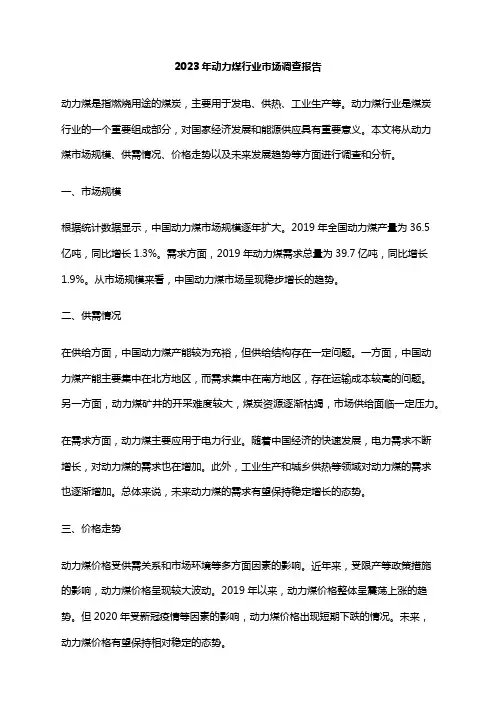 2023年动力煤行业市场调查报告