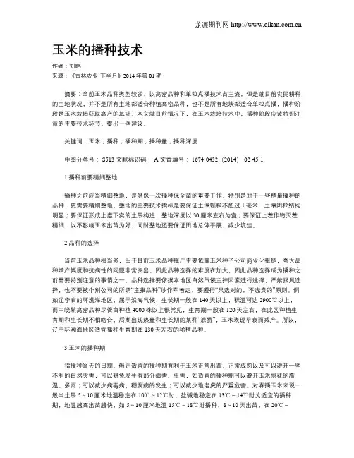 玉米的播种技术