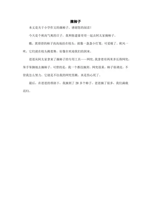 摘柿子_小学作文_4
