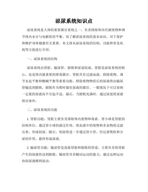 泌尿系统知识点