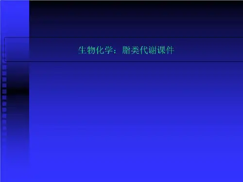 生物化学：脂类代谢课件
