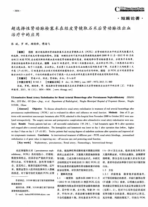 超选择性肾动脉栓塞术在经皮肾镜取石术后肾动脉性出血治疗中的应用
