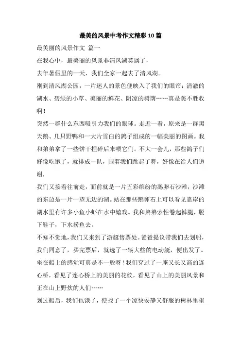 最美的风景中考作文精彩10篇