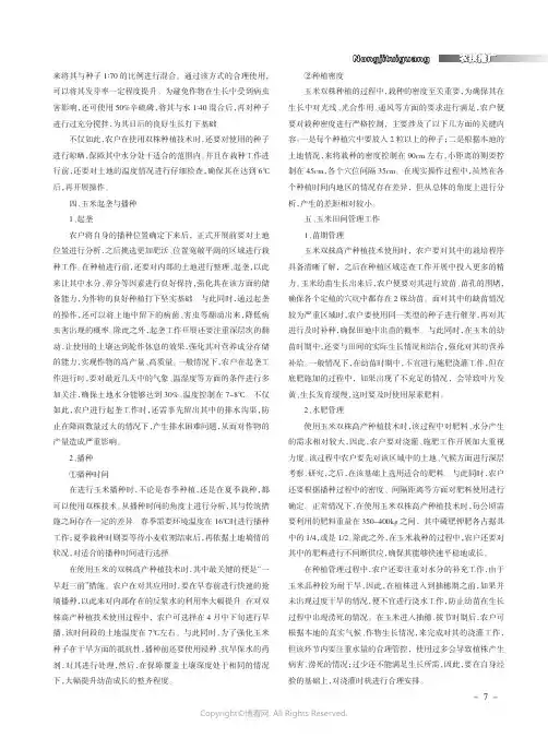 解析玉米双株种植优势与高产种植技
