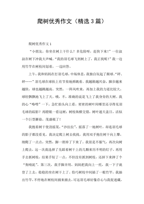 爬树优秀作文(精选3篇)