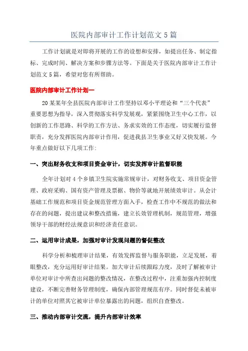 医院内部审计工作计划范文5篇