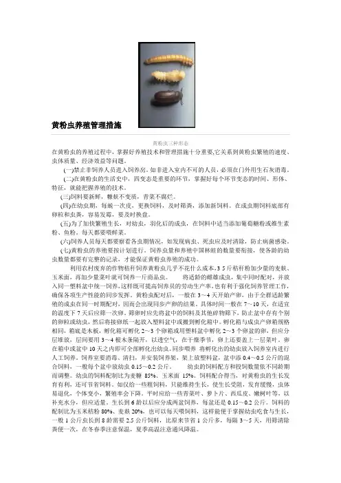 黄粉虫养殖管理措施