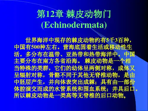 第12章  棘皮动物门