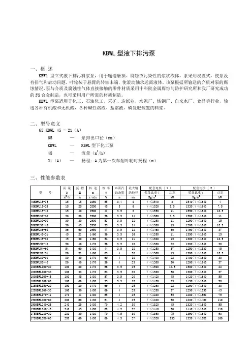 ZDS型二相流渣浆泵