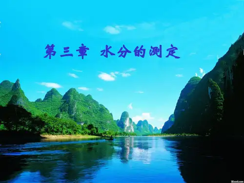 水分的测定PPT课件