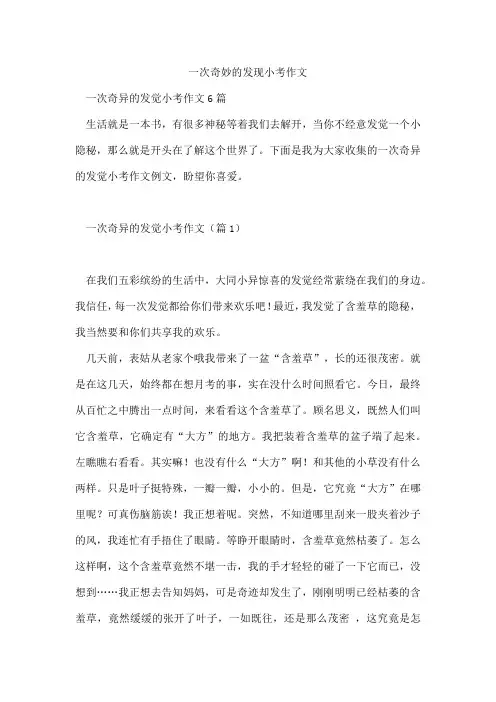 一次奇妙的发现小考作文