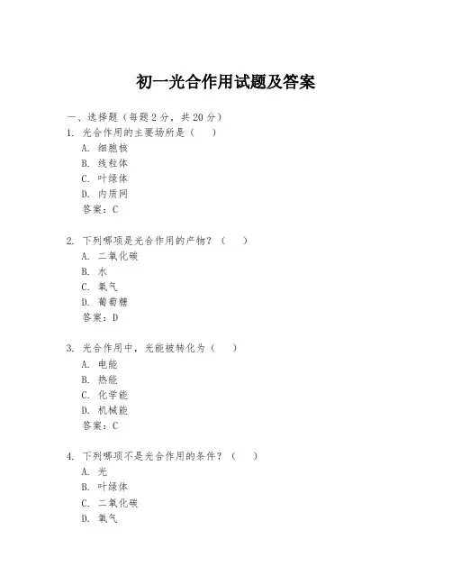 初一光合作用试题及答案