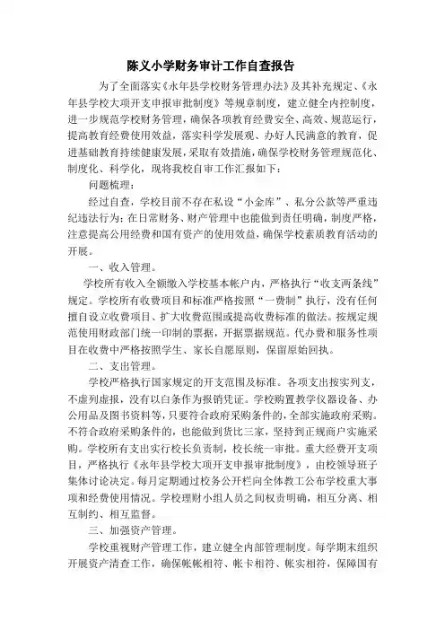 陈义小学财务审计工作自查报告