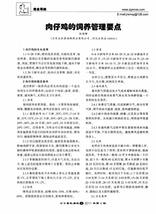 肉仔鸡的饲养管理要点