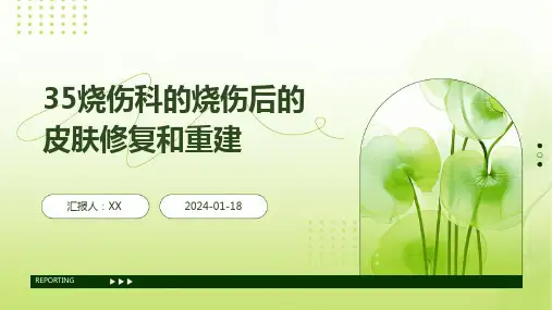 烧伤科的烧伤后的皮肤修复和重建