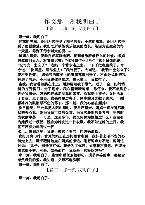 作文范文之作文那一刻我明白了