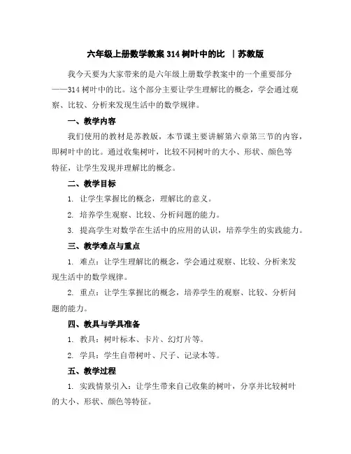 六年级上册数学教案-3-14树叶中的比∣苏教版