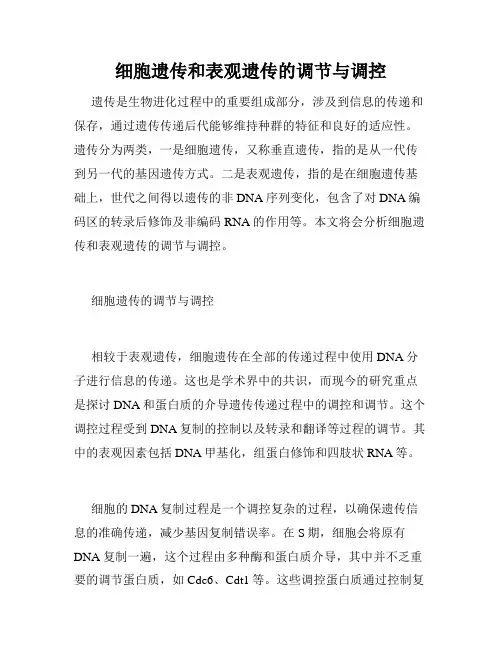 细胞遗传和表观遗传的调节与调控