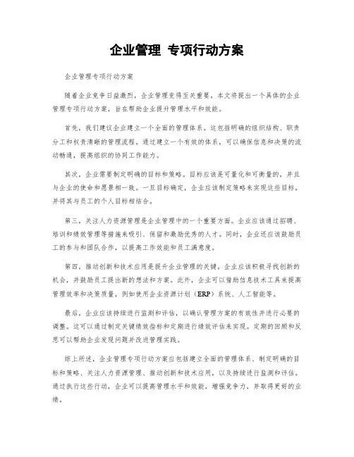 企业管理 专项行动方案