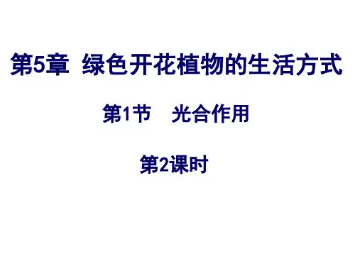 北师大版七年级上册第五章第一节 光合作用   第2课时 课件