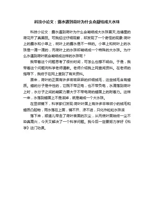 科技小论文：露水遇到荷叶为什么会凝结成大水珠