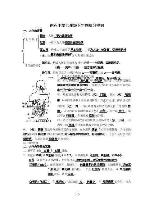 七年级下北师大版生物复习提纲