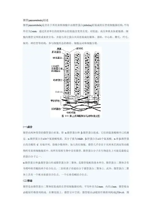 微管