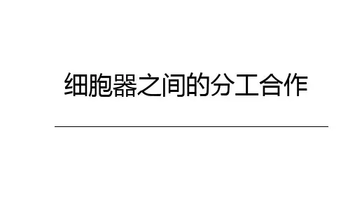 一轮复习1-5：细胞器之间的分工合作