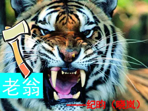 《老翁捕虎》课件解析