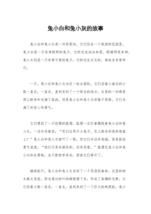 兔小白和兔小灰的故事