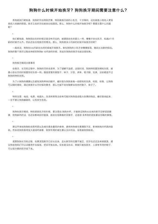 狗狗什么时候开始换牙？狗狗换牙期间需要注意什么？