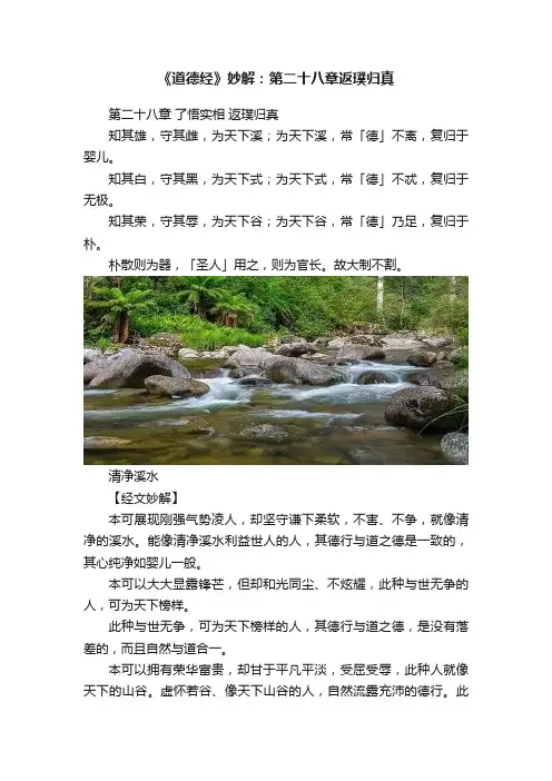 《道德经》妙解：第二十八章返璞归真
