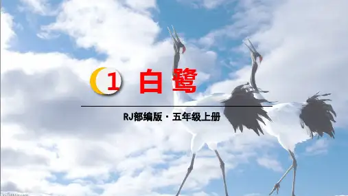《白鹭》PPT完美版2