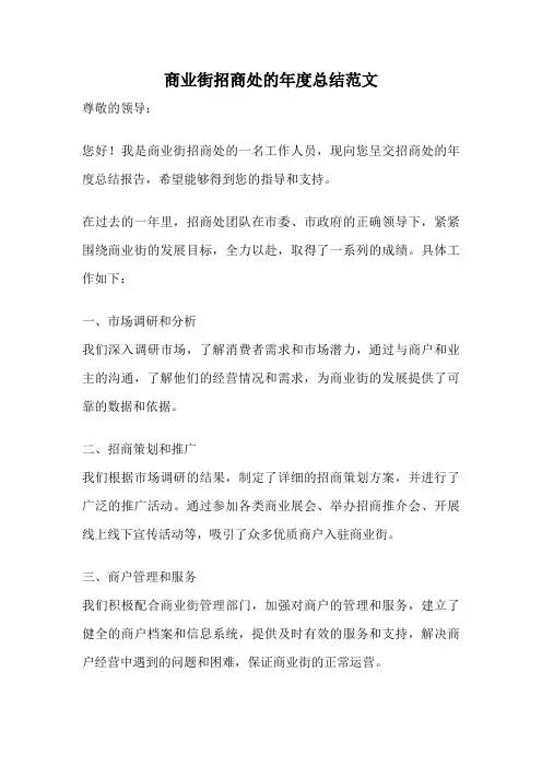 商业街招商处的年度总结范文