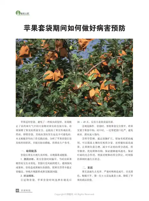 苹果套袋期间如何做好病害预防
